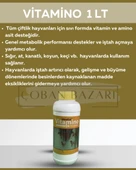 Ideal Vitamino Premiks 1 Lt thumbnail 1