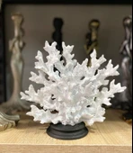Dekotatif Şık Mercan biblo Polyester thumbnail 6