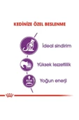 Sensible 33 Kedi 15 Kg 1 Adet thumbnail 3