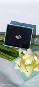 ÇOK YAPRAKLI LOTUS ÇİÇEĞİ thumbnail 2