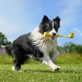 Insta360 GO 3 Fetch Stick thumbnail 1