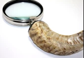 Pirinç Boynuz Saplı Büyüteç Model 1 thumbnail 2