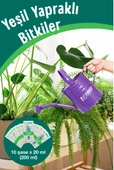 Florist yeşil bitkiler besini thumbnail 3