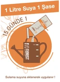 Florist orkide besini thumbnail 2
