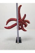 FREFLY STORE Deniz Yıldızı Biblo, Polyester, Turuncu, 40x20 thumbnail 2
