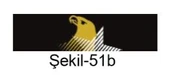 SOLOTÜRK Şerit Rozeti thumbnail 1