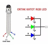 Powermaster 1592-5Mm RGB Led 4 Pin Ortak Katot thumbnail 3