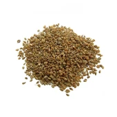 Kereviz Tohumu 100 gr (Celery Seeds) thumbnail 3