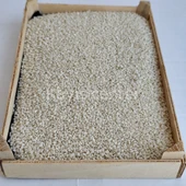 Toptan İthal Beyaz Susam 1000 Kg thumbnail 2