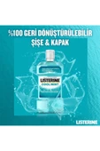 LİSTERİNE 95Ml Cooll Mint Nane Aromali thumbnail 5