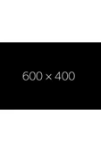 EVONY Yetişkin Bezi Large 60 Adet thumbnail 2