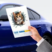 Fulcar Stray Araç Stickerı thumbnail 2