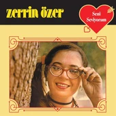 Zerrin Özer Seni Seviyorum - Plak thumbnail 1