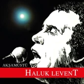 Haluk Levent Akşamüstü - Plak thumbnail 1