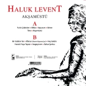 Haluk Levent Akşamüstü - Plak thumbnail 2