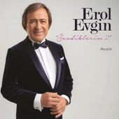 Erol Evgin Sevdiklerim 2 - Plak thumbnail 1