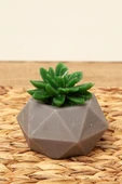 Sukulent Mum thumbnail 1