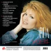 Ajda Pekkan Ajda 1991 Seni Seçtim - Plak thumbnail 2
