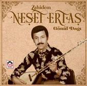 Neşet Ertaş Zahidem / Gönül Dağı - Plak thumbnail 1