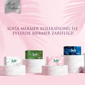 Sofia Kutu Mendil 100 Yaprak x 24 thumbnail 2