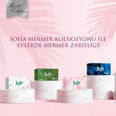 Sofia Kutu Mendil 100 Yaprak 4 Paket thumbnail 2