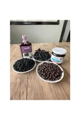 Aronya Fidanı 10-20 cm thumbnail 5
