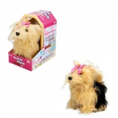 Sunman Sevimli Köpek Terrier thumbnail 3
