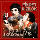 Fikret Kızılok Edip Akbayram - Plak thumbnail 1