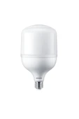 Philips Trueforce Core LED Ampul 35W E27 6500K Beyaz Işık thumbnail 2