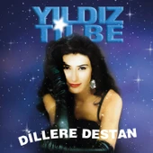 Yıldız Tilbe Dillere Destan - Plak thumbnail 1