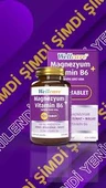 Wellcare Magnesium Vitamin B6 120 Tablet thumbnail 2