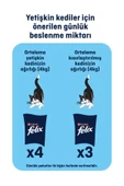 FELİX Tavuklu Yetişkin Kedi Pouch thumbnail 4