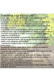 Sarımsak Yağı 20 ml thumbnail 3
