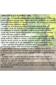 Argan Yağı 50 Ml thumbnail 2