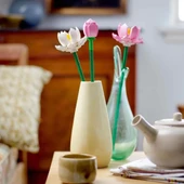 Lotus Çiçekleri 40647 thumbnail 3