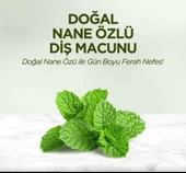 Doğal Diş Macunu 90 Gr Nane Özlü thumbnail 4