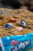 Berkley Gulp Peeler Crab LRF Silikon Yengeç thumbnail 4