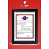 Storm Multivitamin Complex( Antioxidant+ Energy Supports) 30 Tablet thumbnail 9