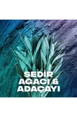 Axe Apollo Erkek Sprey Deodorant 150 Ml (2 Adet) thumbnail 7
