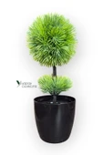 Siyah Saksıda 25 cm Mini Top Şimşir thumbnail 12