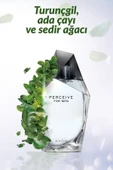 AVON Perceive Erkek Parfüm Edt 100 Ml. thumbnail 2
