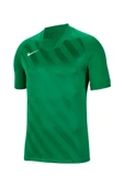 Nike Dry Jersey Challenge III BV6703-302 Erkek Forma thumbnail 1