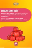 SUPRADYN BOOST TAEF TUR 15 EFF thumbnail 5