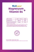 WELLCARE MAGNESIUM B6 VT 200/10M 30 TABLET thumbnail 2