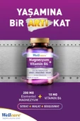 WELLCARE MAGNESIUM B6 VT 200/10M 30 TABLET thumbnail 3