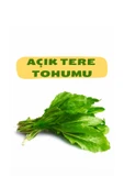 Tere Tohumu (AÇIK)50g thumbnail 1