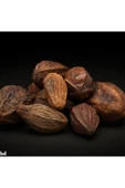 Sarı Halile 100 gram ( Terminalia Chebula ) Sarıhalile Bitkisi thumbnail 2
