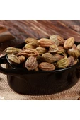 Sarı Halile 100 gram ( Terminalia Chebula ) Sarıhalile Bitkisi thumbnail 1