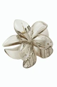 Lotus Toka 8 cm thumbnail 2