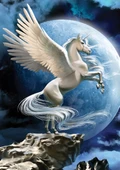 KS Puzzle 1000 Parça Magical Unicorn thumbnail 2